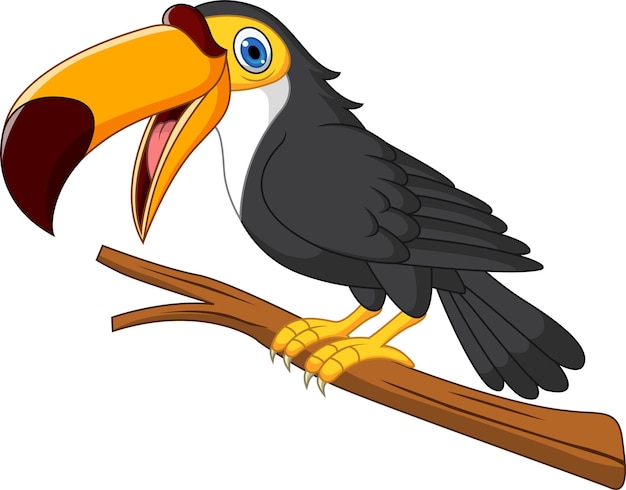 Dessin Animé Oiseau Toucan Sur Une Branche D'arbre