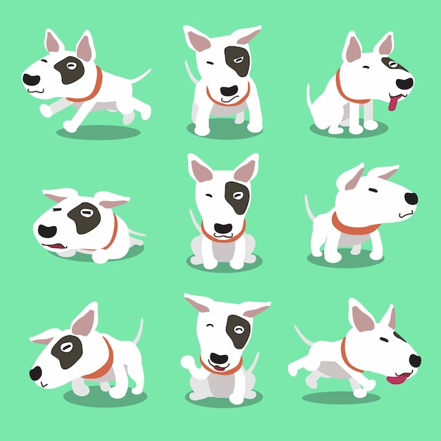 Dessin animé personnage bull terrier chien poses