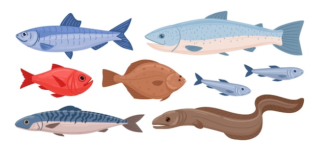 Vecteur dessin animé poisson fruits de mer thon truite flet et anguille océan poisson délicieux océan fruits de mer plat illustration vectorielle ensemble