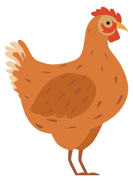 Vecteur dessin animé poule oiseau animal de ferme icône de poulet