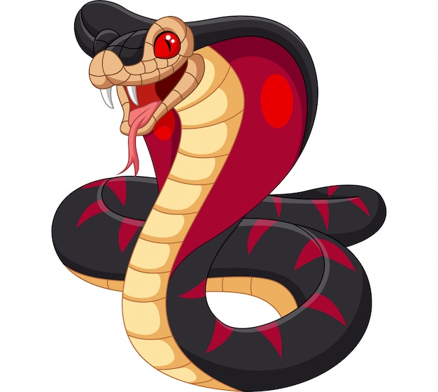 Vecteur dessin animé roi serpent cobra isolé