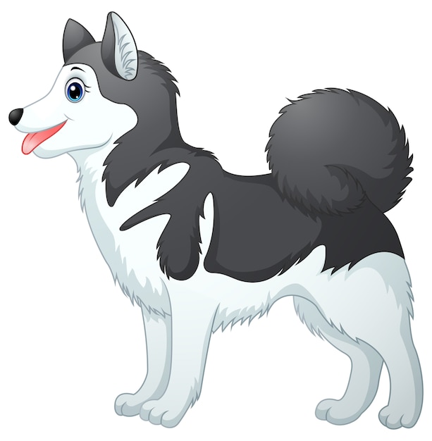 Dessin animé siberian husky