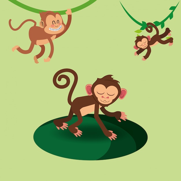 Dessin Animé De Singes Jungle