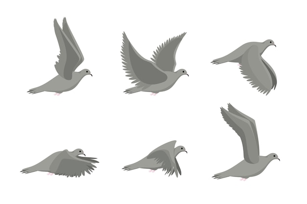Dessin animé, vol, colombe, oiseau, côté, ensemble, pigeon, plat, conception, style, isolé, blanc, fond, vecteur, illustration, de, pigeons