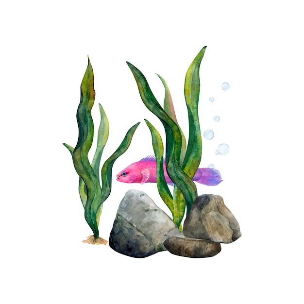 Vecteur dessin à l'aquarelle d'algues vert foncé pierres bulles d'air et poisson fridman sur fond blanc