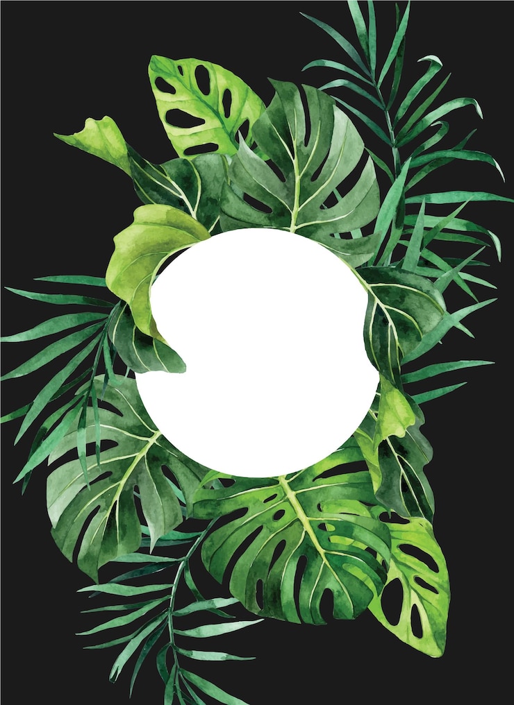 Vecteur dessin à l'aquarelle. cadre rond avec des feuilles de palmier tropical, monstère de banane.