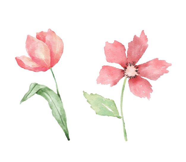 Dessin aquarelle de fleurs roses avec des feuilles