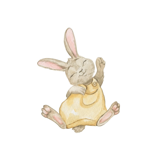 Dessin à L'aquarelle D'un Lapin Endormi Dans Une Barboteuse