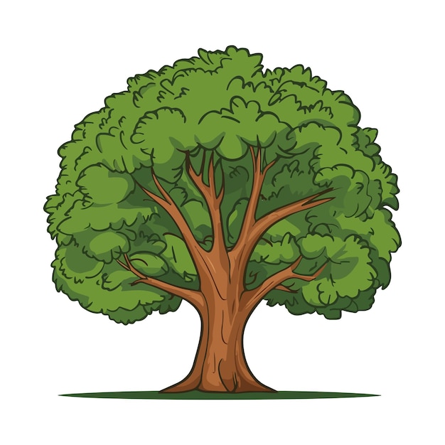 Le dessin de l'arbre est une illustration vectorielle Clipart Eps