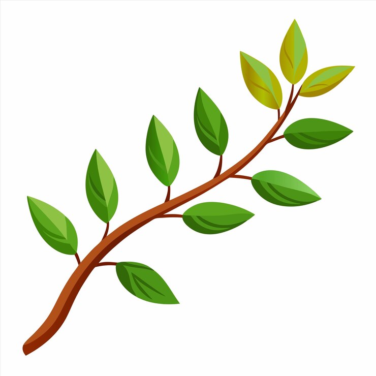 Vecteur un dessin d'un arbre avec des feuilles vertes et un fond blanc