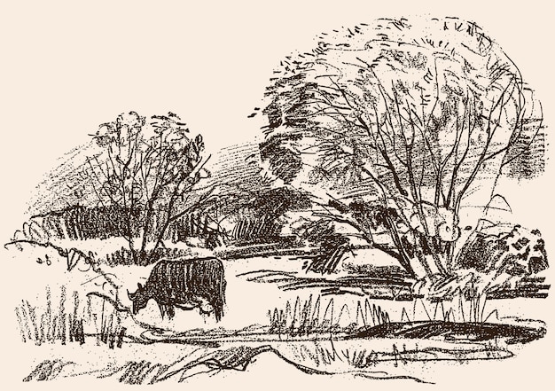 Dessin au crayon d'un paysage rural avec une vache au pâturage