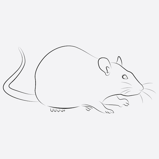 Vecteur dessin au trait animal rat