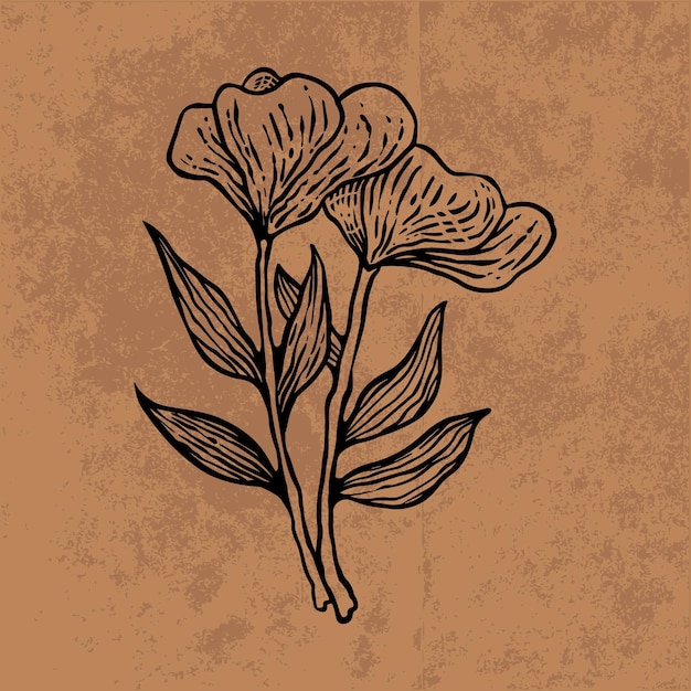 Dessin Au Trait Botanique Feuille Doodle Fleurs Sauvages