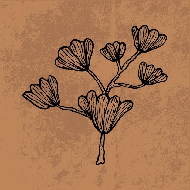 Dessin Au Trait Botanique Feuille Doodle Fleurs Sauvages