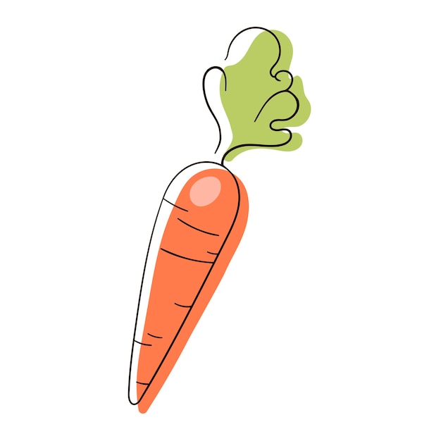 Dessin au trait de carotte. Plate illustration de l'icône de vecteur de carotte isolé sur fond blanc.