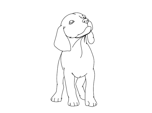 Dessin Au Trait De Chien