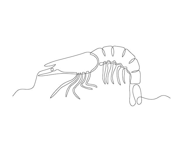 Dessin au trait continu de crevettes