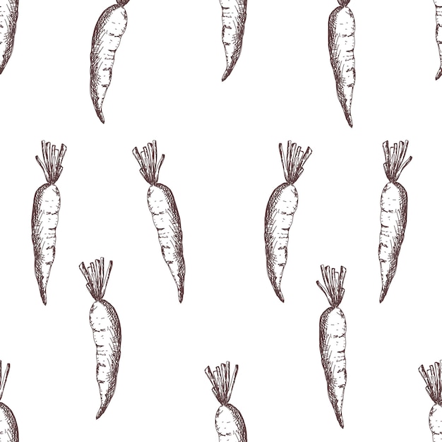 Vecteur dessin au trait dessinés à la main alimentation saine motif de carottes croquis de carottes modèle sans couture nature fond aliments biologiques frais noir et blanc