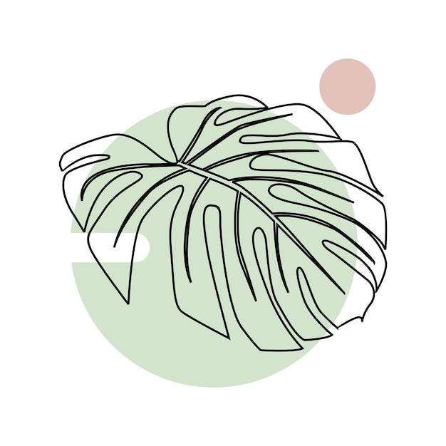 Vecteur dessin au trait feuille de monstera deliciosa avec fond de cercle