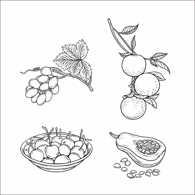 Dessin au trait de fruits 30622