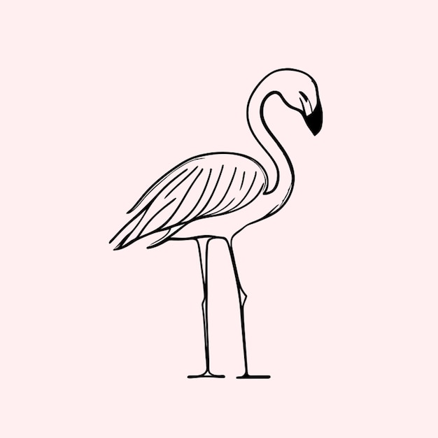 Dessin Au Trait Illustration Vectorielle Flamant Rose