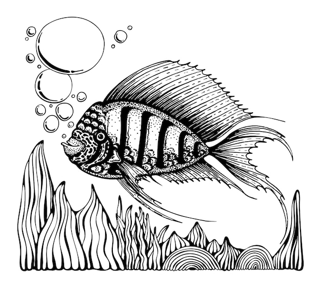 Dessin au trait mince de beaux poissons Animal sous-marin du fond marin Habitant du récif corallien Vie marine sauvage Bulles d'algues Illustration vectorielle dessinée à la main Élément de doodle isolé