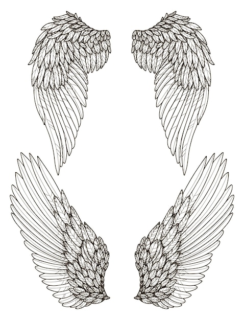 Dessin au trait monochrome ailes d'ange