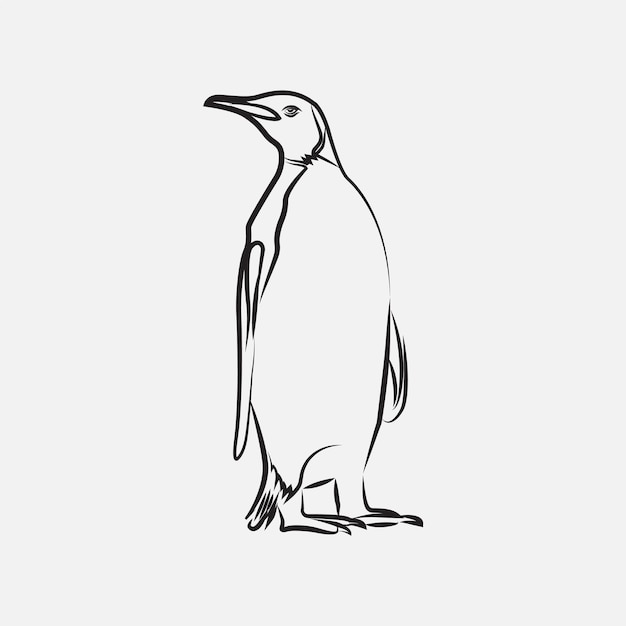 dessin au trait oiseau pingouin