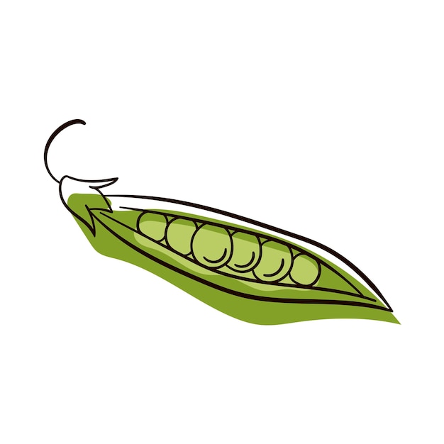 Dessin Au Trait De Pois. Plate Illustration De L'icône De Vecteur De Pois Isolé Sur Fond Blanc.