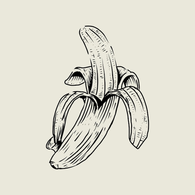 Vecteur dessin de banane avec style vintage