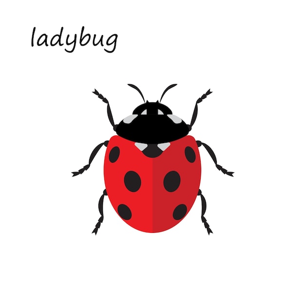 Dessin De Coccinelle Dans Un Style Plat