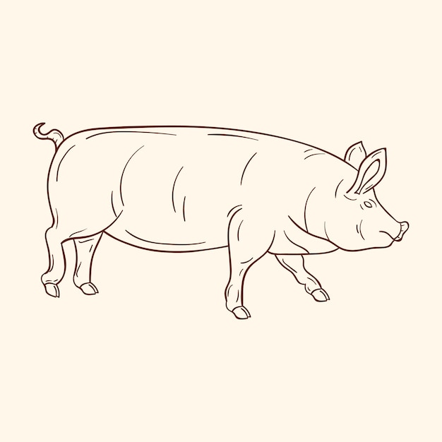 un dessin d'un cochon avec un cochon dessiné dessus