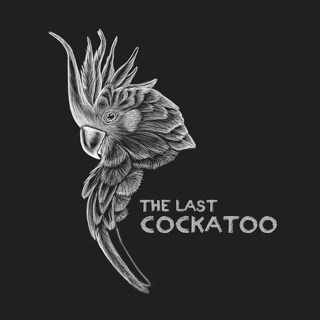 Dessin Cockatoo Concept