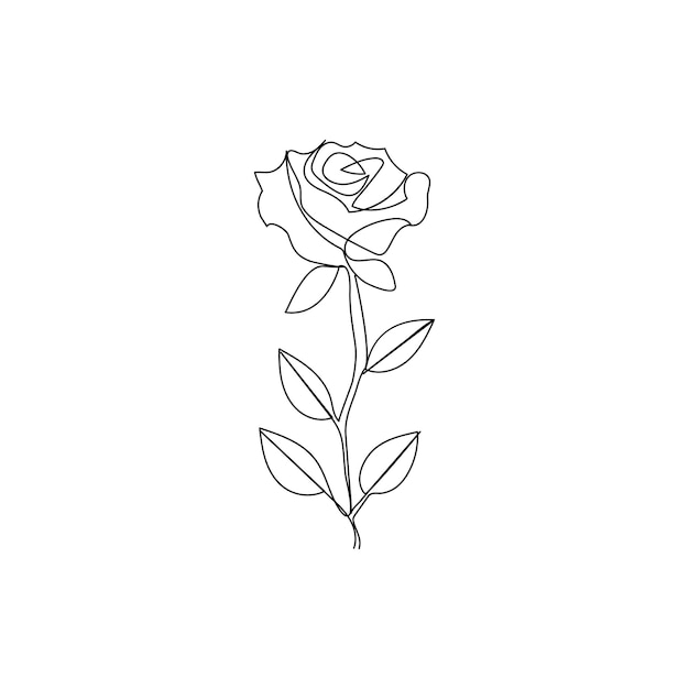 Dessin Continu D'une Ligne De Fleur De Rose D'une Illustration Vectorielle De Contour