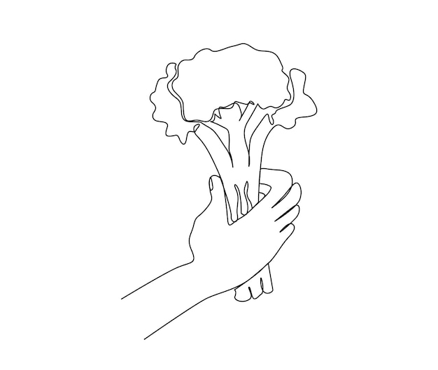 Dessin Continu D'une Ligne De Main Tenant Le Brocoli Conception D'art De Ligne De Brocoli Frais.