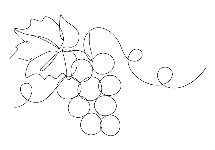 Vecteur dessin continu en une ligne de raisins art des fruits minimalistes