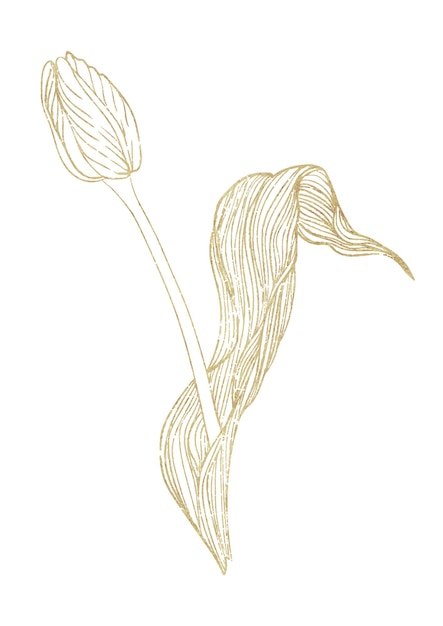 Dessin De Contour D'or D'une Fleur De Tulipe.