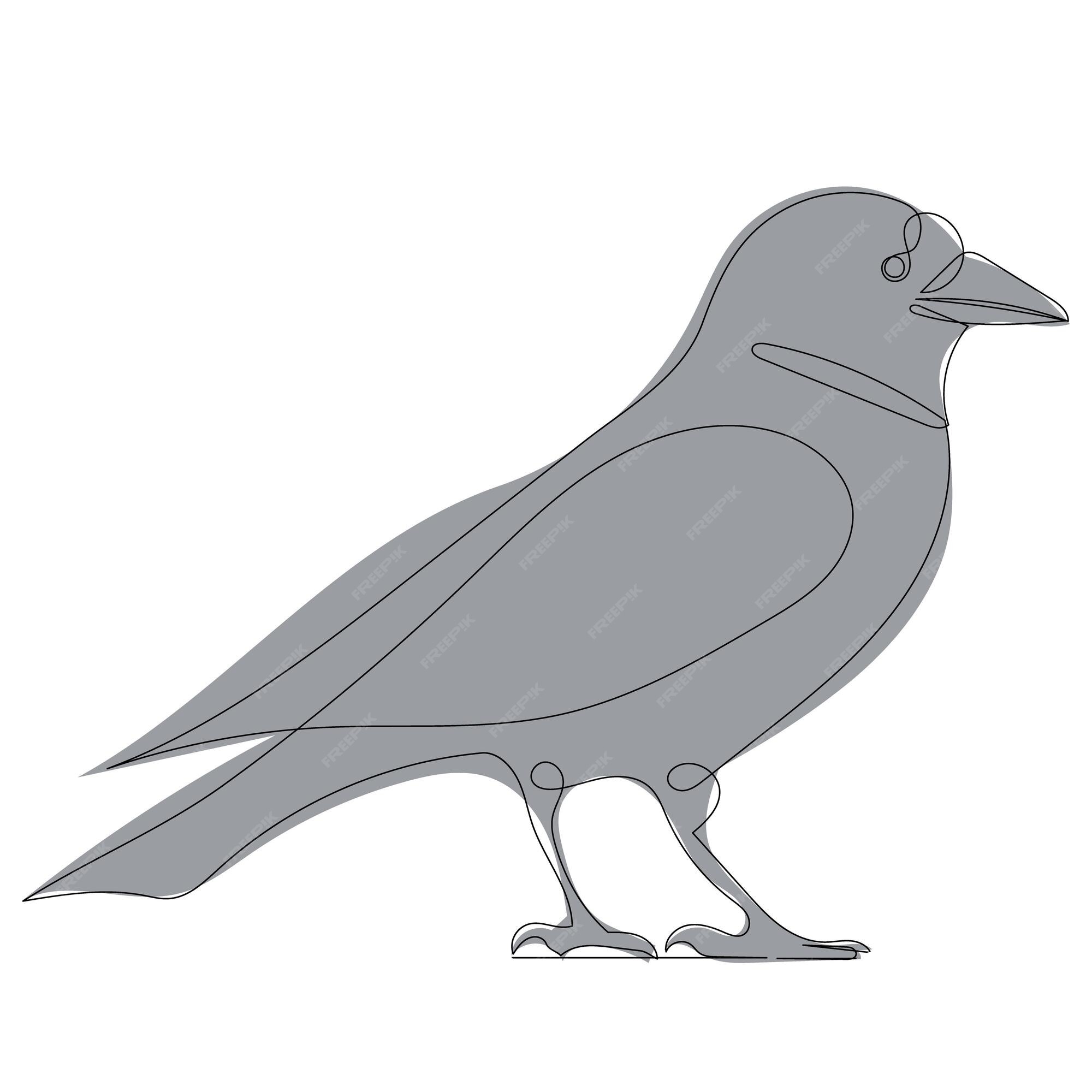 Dessin De Corbeau Par Une Ligne Continue, Isolé | Vecteur Premium