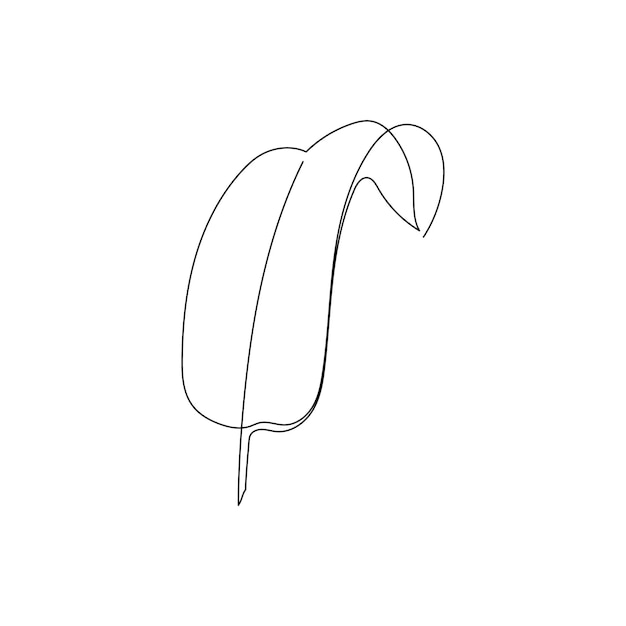 Un dessin décoratif en feuille de palmier à la banane.