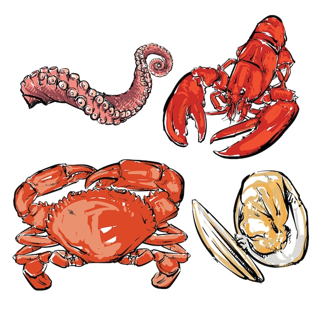 Vecteur dessin de dîner de fruits de mer.