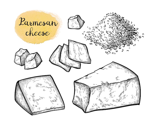 Vecteur dessin à l'encre au fromage parmesan