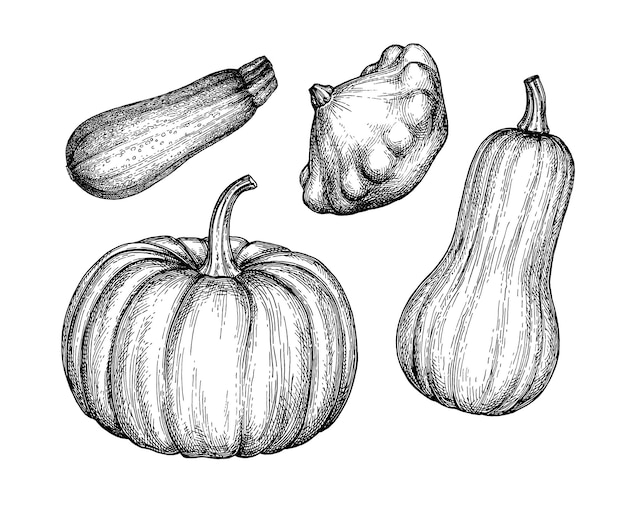 Dessin à L'encre De Courgettes