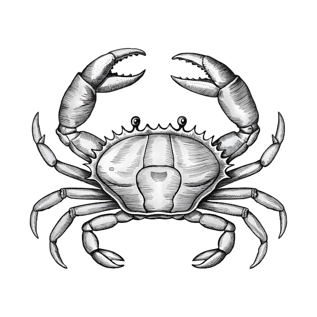 Vecteur dessin à l'encre de crabe illustration vectorielle de style gravure en noir et blanc