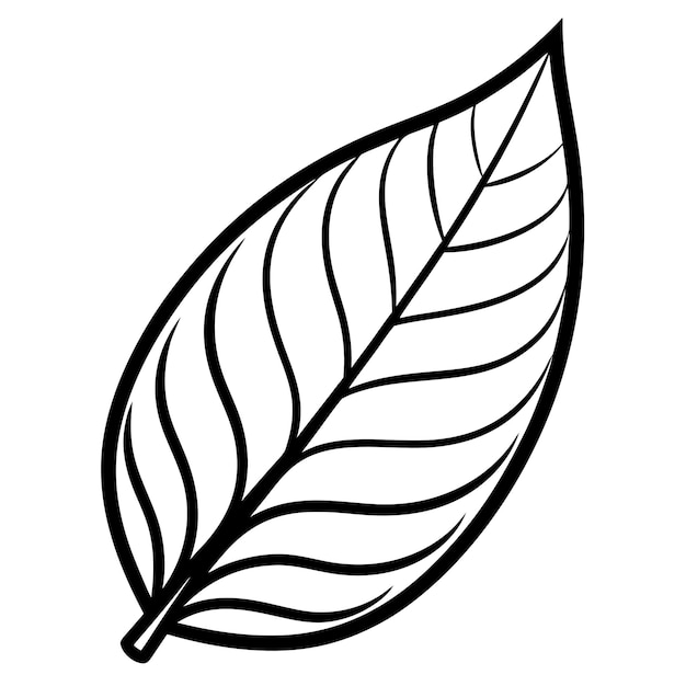 un dessin d'une feuille avec une ligne à travers elle