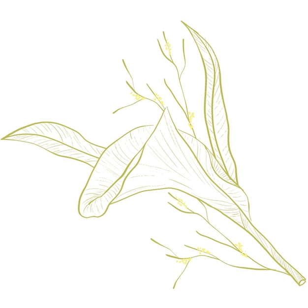 Un Dessin D'une Feuille Qui A Un Dessin De Fleur