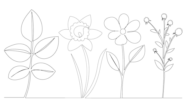 Dessin de fleurs dans un contour de croquis de ligne isolé