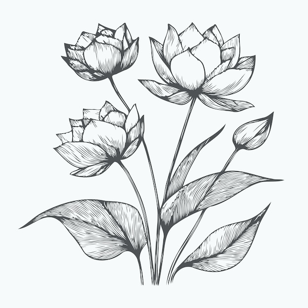 un dessin de fleurs avec les mots " tulips " sur lui