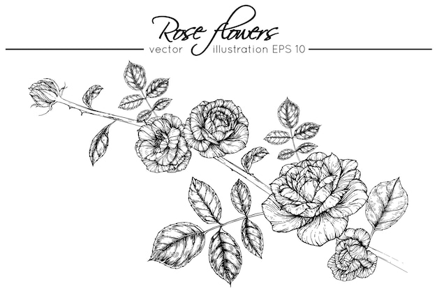 Dessin De Fleurs Roses