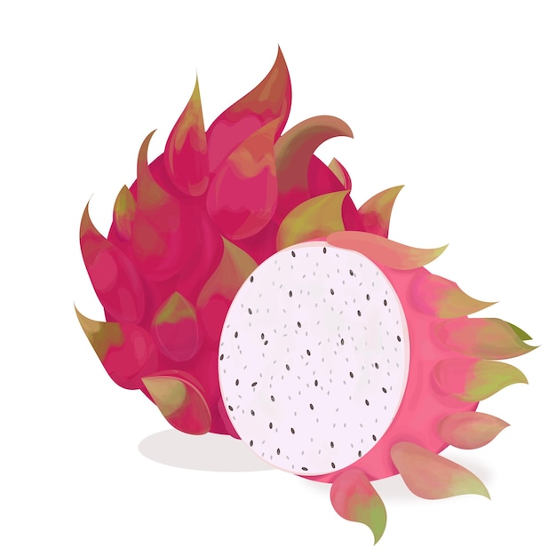 Dessin De Fruits De Dragon Comme Des Feux D'artifice Avec Un Cercle Dessus