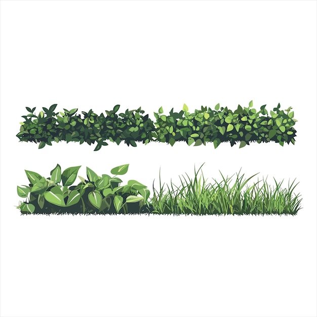 un dessin d'une herbe avec une plante verte qui pousse au milieu